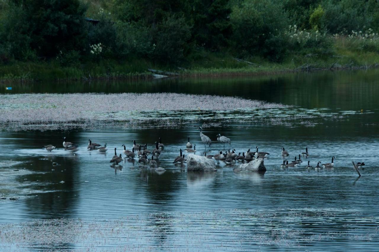 Вилла Torpet I Sjoe Nyland  Экстерьер фото