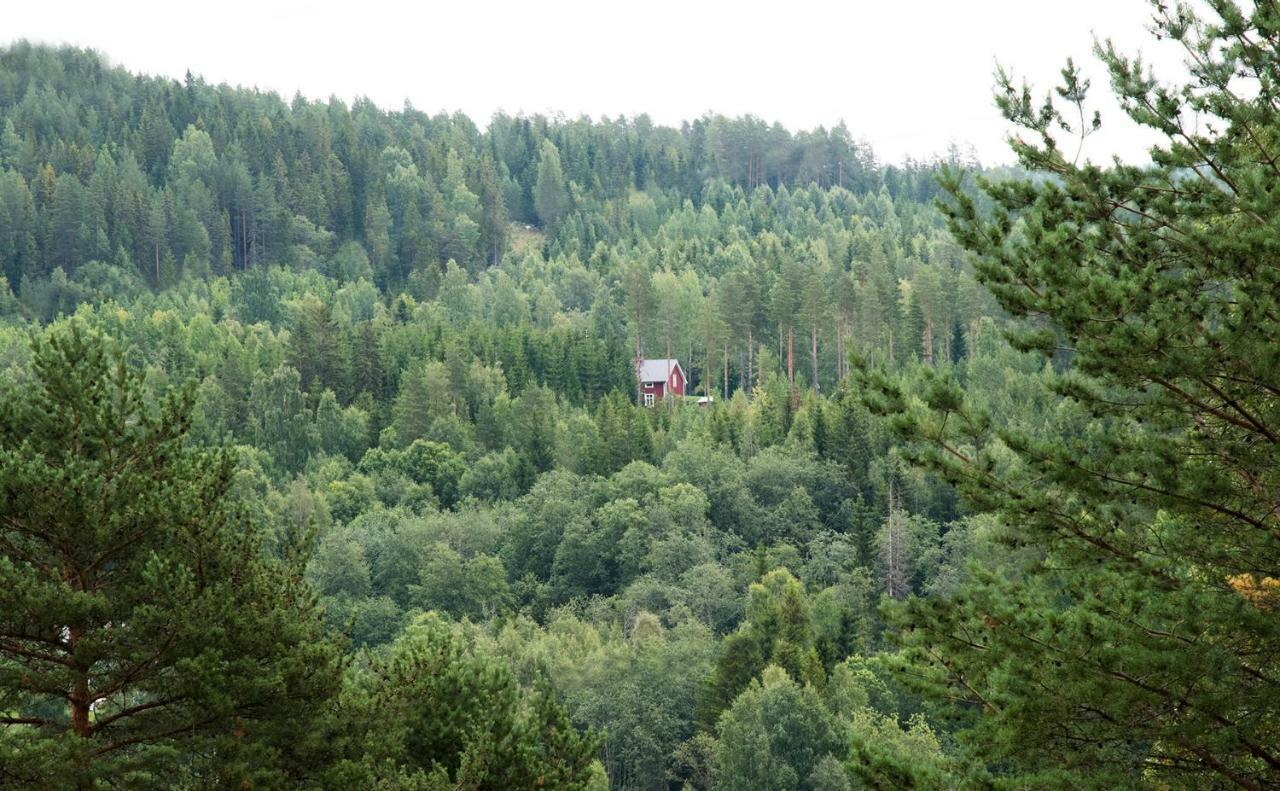 Вилла Torpet I Sjoe Nyland  Экстерьер фото